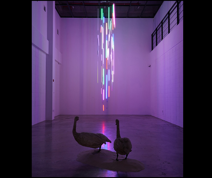 화면 캡처 2026-07-27 165309.png