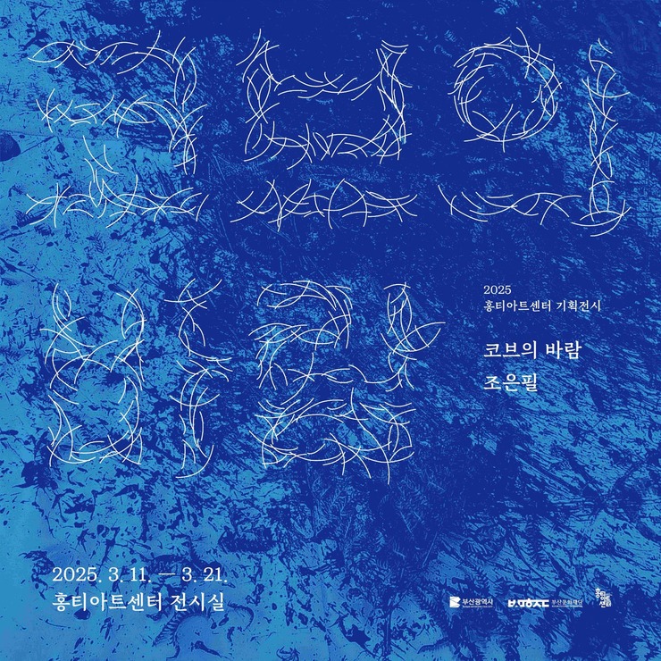코브의 바람
