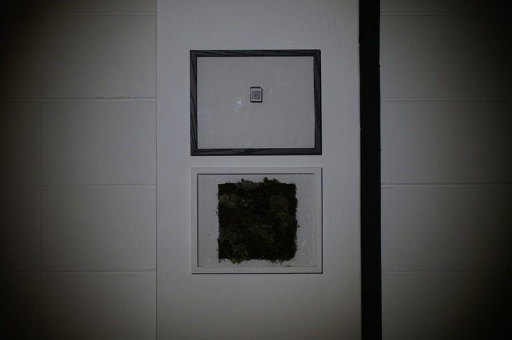 [크기변환]SAP04189.JPG