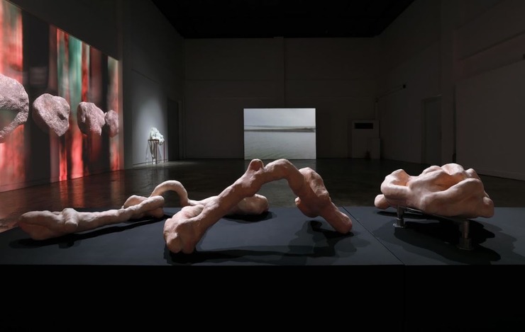 김시흔2.JPG