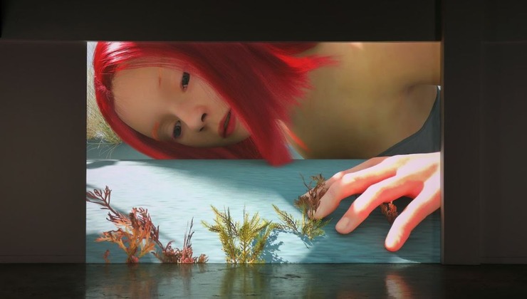 김시흔6.JPG